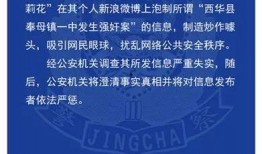 网友爆料方式的新闻稿子,揭秘事件背后真相